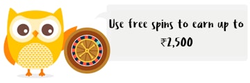 Owlie depicting information about free spins