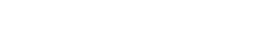 Logo white