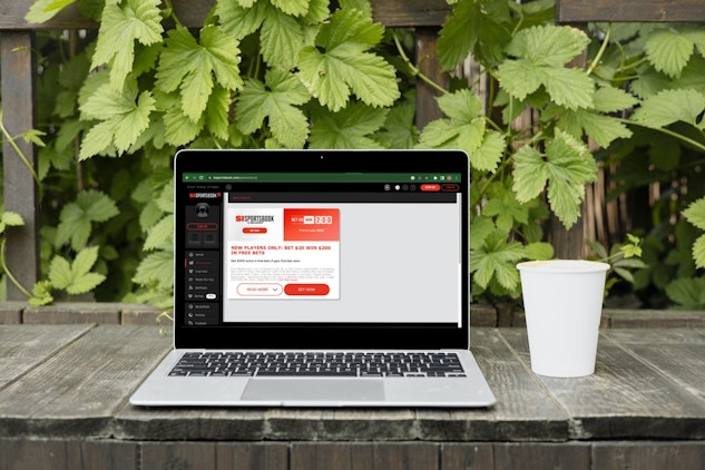 Smartmockups lfl2im50